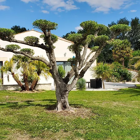 Les Cuves - Saintes Frühstückspension