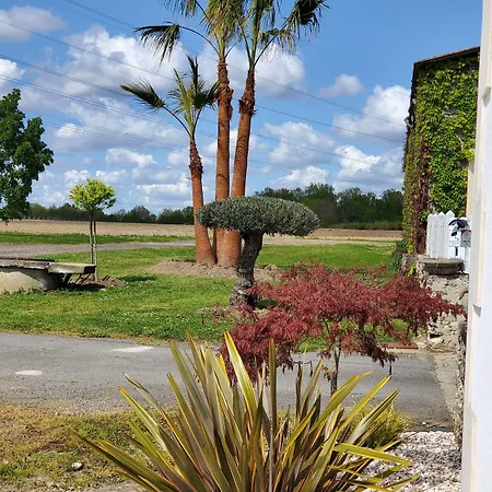 Les Cuves - Saintes Bed & Breakfast Chaniers