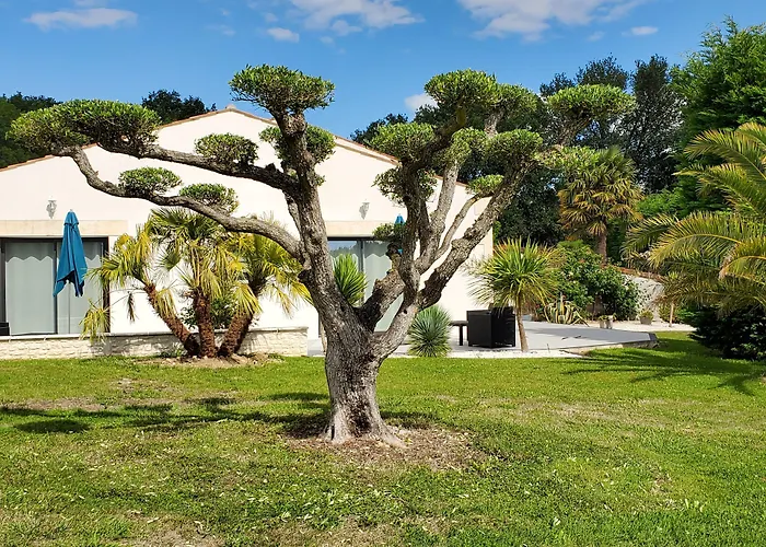 Les Cuves - Saintes Bed and breakfast