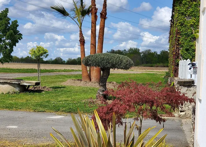 Les Cuves - Saintes Bed and breakfast Chaniers